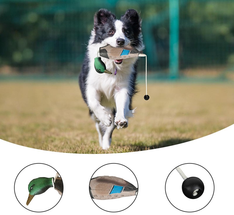 Pet Toy